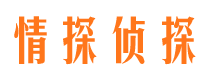 包河外遇调查取证